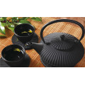 Chinese Cast iron teapot set